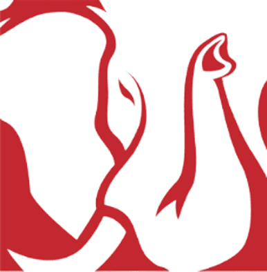 Elefante, emblema de CAPOSA